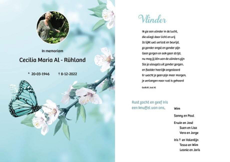 Afbeelding invoegen